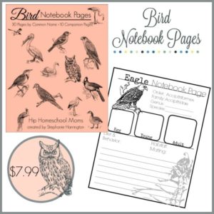Bird Notebook Pages
